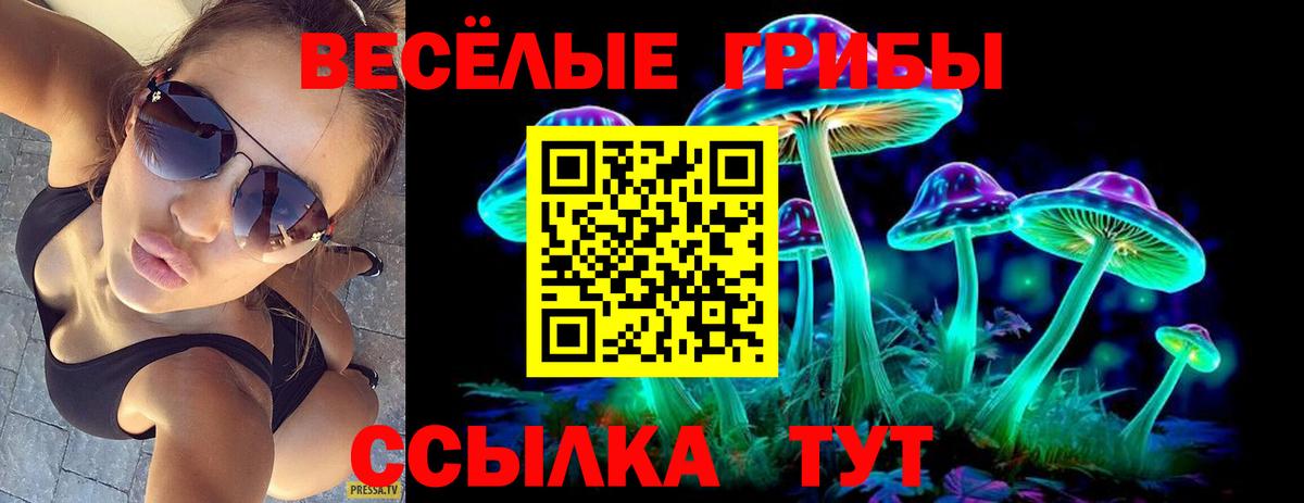 Псилоцибиновые грибы Cubensis  Вход с VPN  где найти наркотики  Новокузнецк 